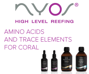 NYOS