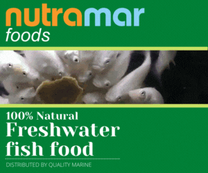 Nutramar Foods