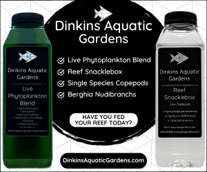 Dinkins Aquatic Gardens