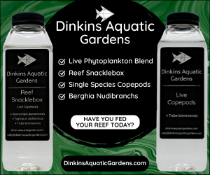 Dinkins Aquatic Gardens