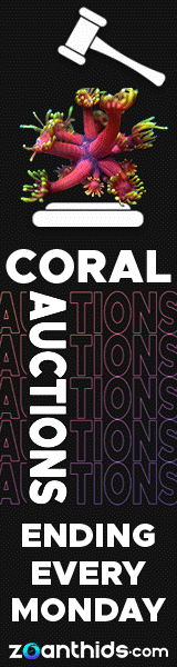 Coral Auctions Ending Every Monday