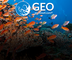Geo's Reef