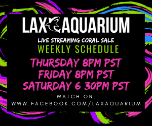 LAX Aquarium Weekly Streaming Live Schedule