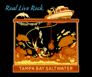 Tampa Bay Saltwater