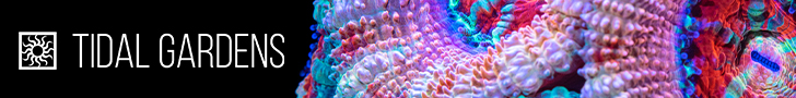 Tidal Gardens