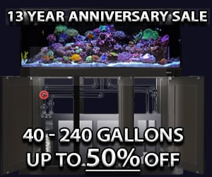Anniversary Sale Up to 50% off