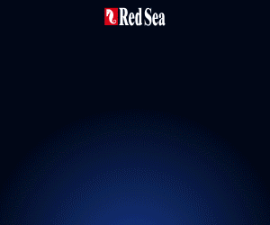 Red Sea