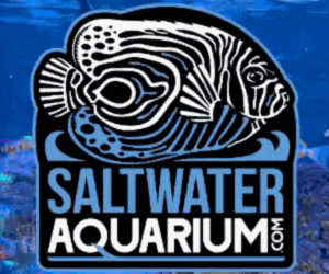 SaltwaterAquarium.com