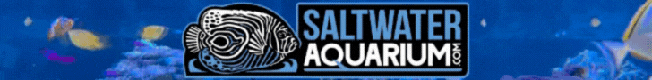 SaltwaterAquarium.com