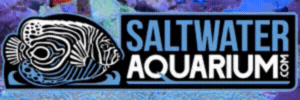 SaltwaterAquarium.com