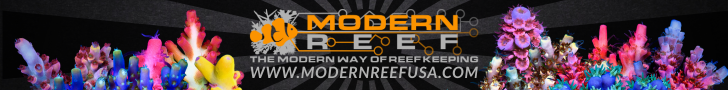 www.ModernReefUSA.com