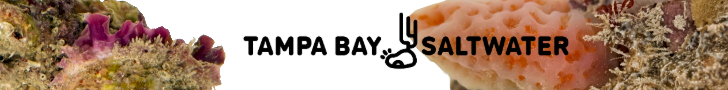 Tampa Bay Saltwater Live Rock and Live Sand