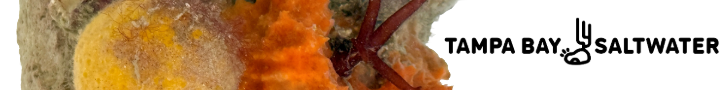 Tampa Bay Saltwater Live Rock and Live Sand