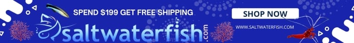 Saltwaterfish.com Sponsor ad