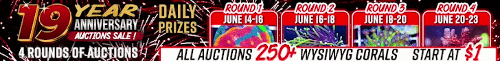 Cherry Corals 19th Year Anniversary Auction Sale!