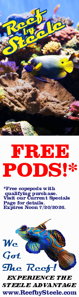 Reef by Steele, Pods Starting @ $19