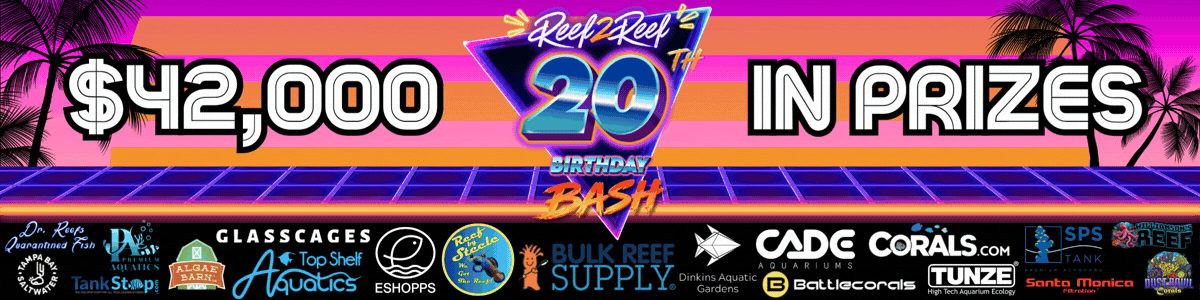 Birthday Bash