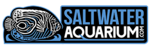 SaltwaterAquarium.com