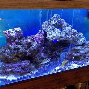 Stone's Reef