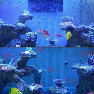 120 Gallon