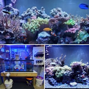 120 Gallon