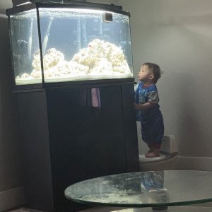 Fish tank #1