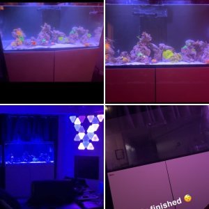 Red Sea Reefer 350 upgrades