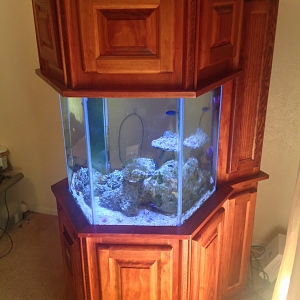 The Tank