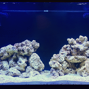 120 Reef Resurgence GIF