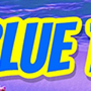 ReefStash YouTube channel - biota blue tang banner