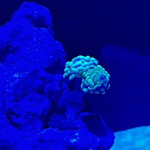 IMG_1015.jpeg