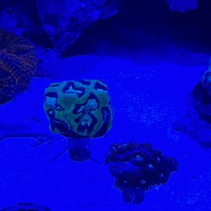 IMG_1014.jpeg
