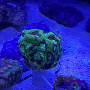 IMG_0893.jpeg