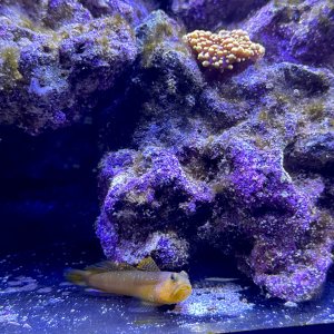 IMG_2309.jpeg
