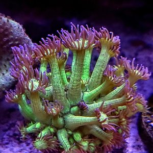 20250126_133650~2.jpg