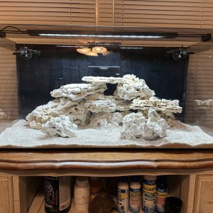 IMG_4355.jpeg