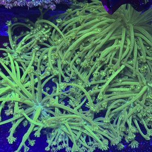 IMG_1649.jpeg