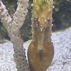 IMG_9816.jpeg