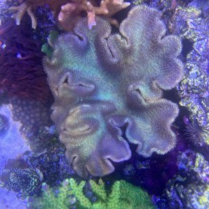 IMG_4920.jpeg