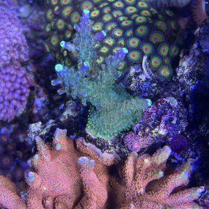 IMG_4531.jpeg