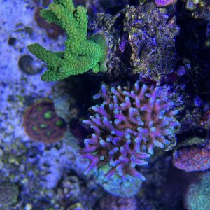 IMG_4527.jpeg