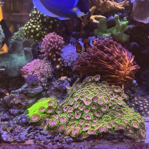 IMG_5106.jpeg