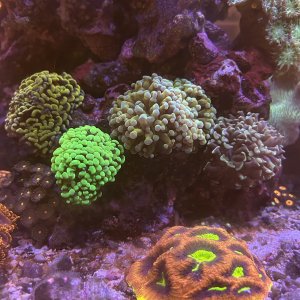 IMG_5103.jpeg