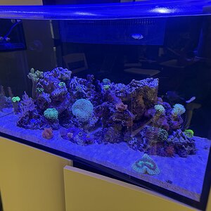 IMG_0676.jpeg