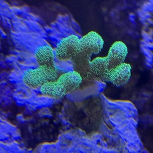 IMG_0672.jpeg