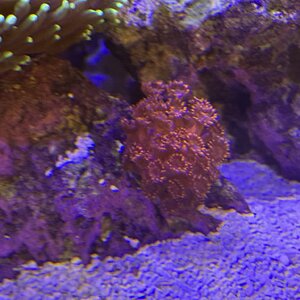 IMG_0670.jpeg