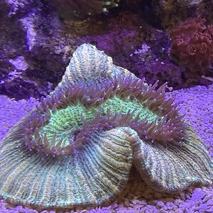 IMG_0661.jpeg