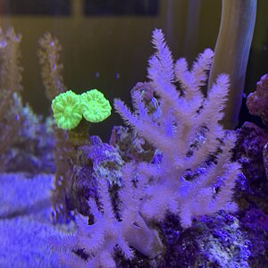 IMG_0665.jpeg