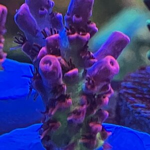 IMG_1016.jpeg