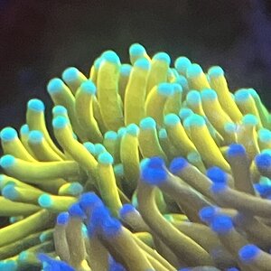 IMG_1003.jpeg